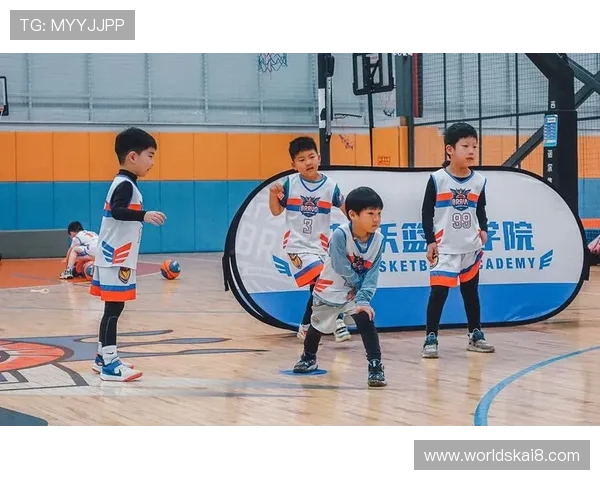 k8篮球平台：平台特色功能详解，助力篮球教练科学管理训练计划