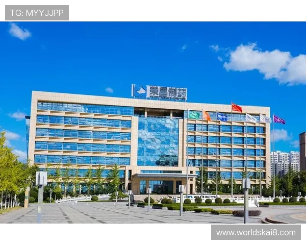 凯发集团网页版登录不了原因分析与快速解决方法详解 凯发集团网页版登录不了原因分析与快速解决方法详解