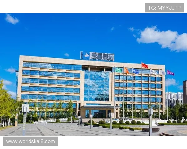 如何成为K8集团官方代理商实现稳定盈利的实用操作指南 如何成为K8集团官方代理商实现稳定盈利的实用操作指南